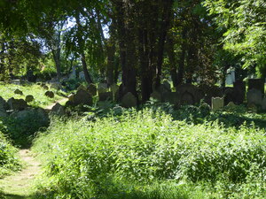 2020-07-30  Kolín (Kolin), Alter Jüdischer Friedhof